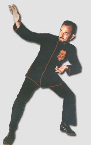 Da Shifu